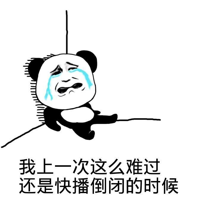 熊猫躺在墙角哭:我上一次这么难过还是快播倒闭的时候_金馆长妈蛋表情