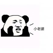 熊猫头敬礼表情包-敬礼表情包
