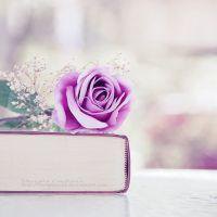 有书有花的唯美头像
