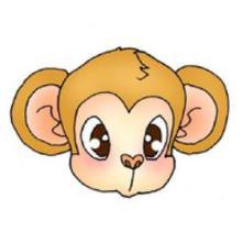 陈冠希猴子头像